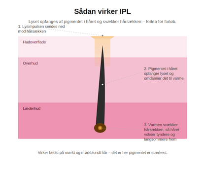 Aveline Lumi – IPL hårfjerner for kropp og ansikt